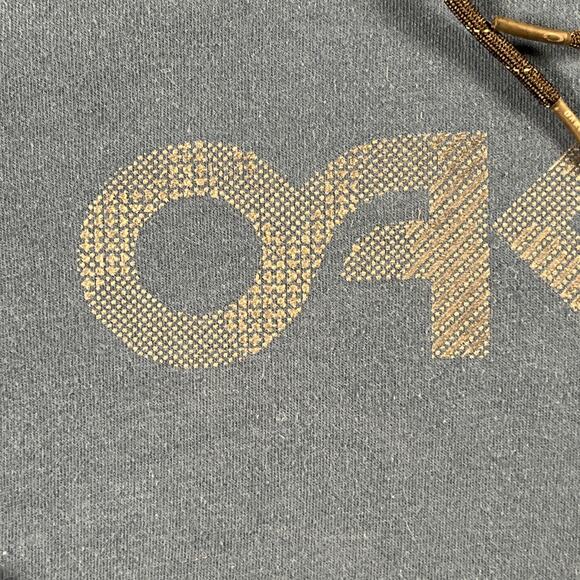 Oakley Men’s Blue Logo Hoodie Sweatshirt Regular Fit Size Medium Athletic Y2K - Picture 3 of 10
